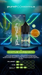 Набор Punch X Cactus Margarita